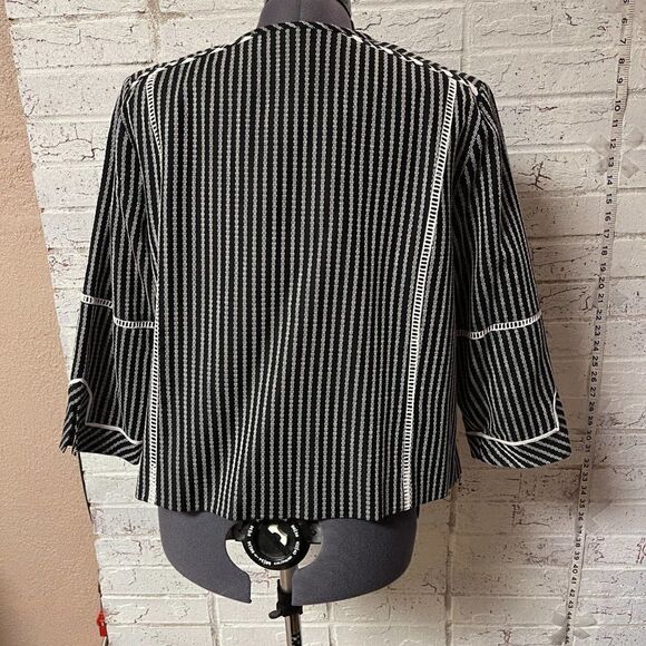 Rafealla Striped Embroidered Blazer Petitite large - Picture 5 of 7